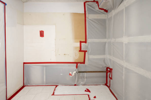 Best Water Damage & Mold Remediation  in Lake Andes, SD