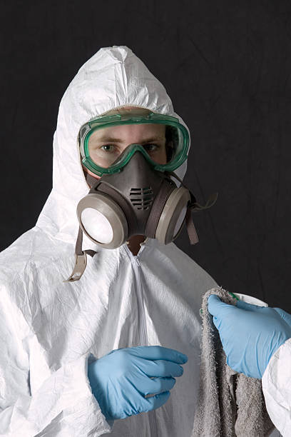 Best Asbestos and Lead Testing During Mold Inspection  in Lake Andes, SD